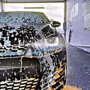 Meet your Posher, Preston